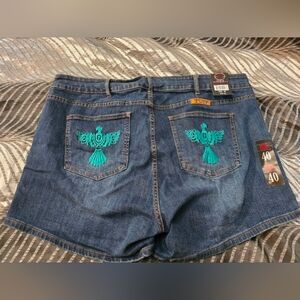 Denim Shorts with Teal Embroidery